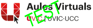 TEST 4 - Aules virtuals